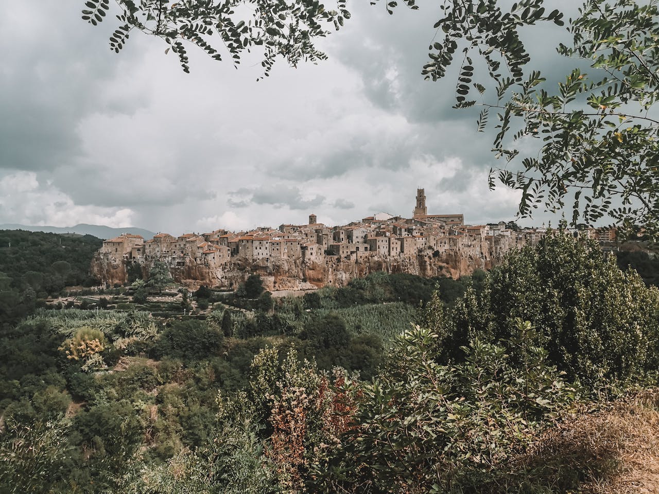 Medieval Village